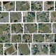 Illustration for article titled Desire Lines Are the Real Future of Urban Transit